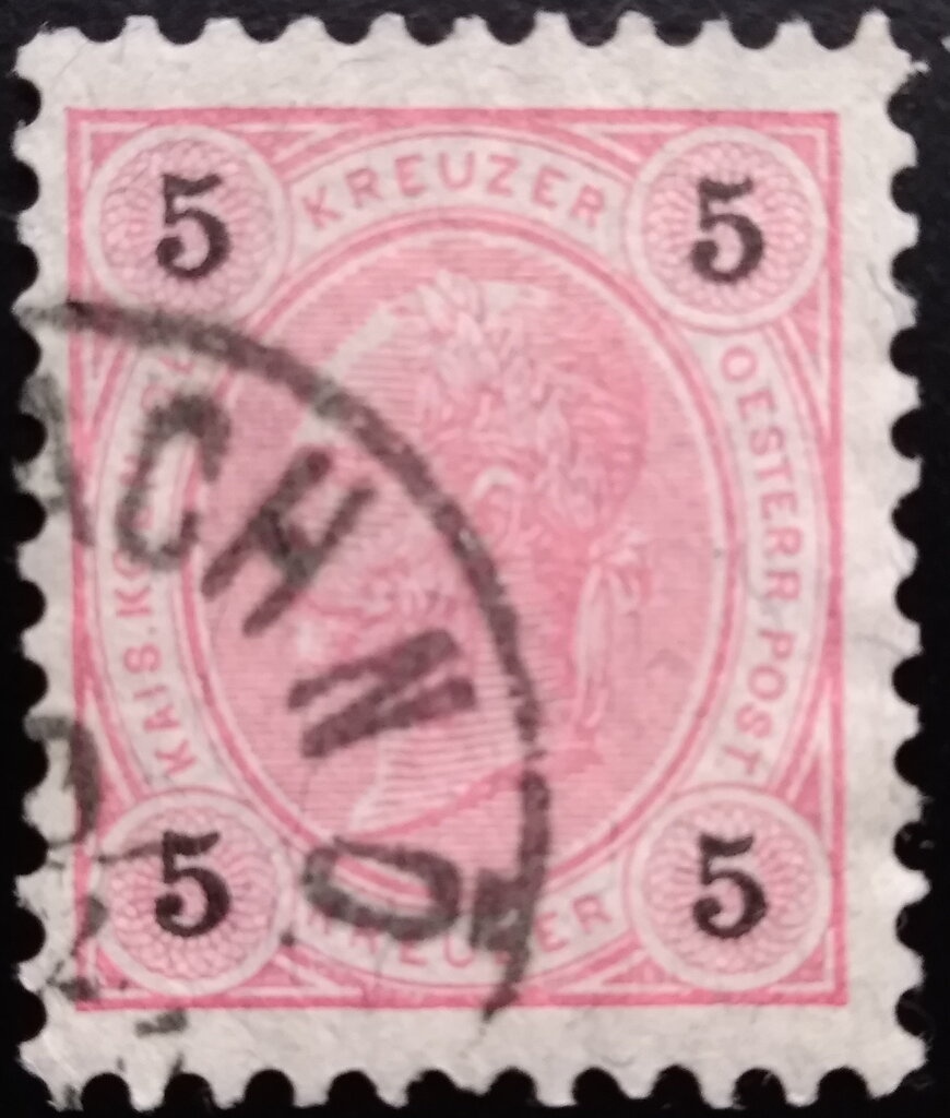 Snow Petrel (Pagodroma nivea)