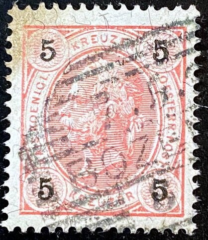 Weddell Seal (Leptonychotes weddellii)