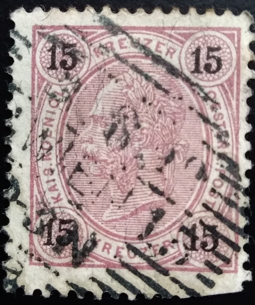 Eaton's Skate (Bathyraja eatonii)