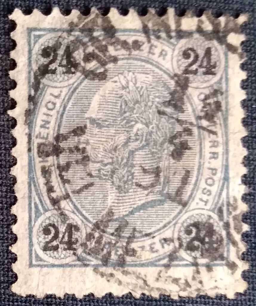 Golden Eagle (Aquila chrysaetos)