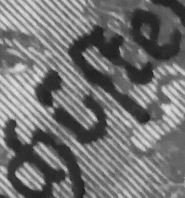 Elixhauser Wirt Hotel