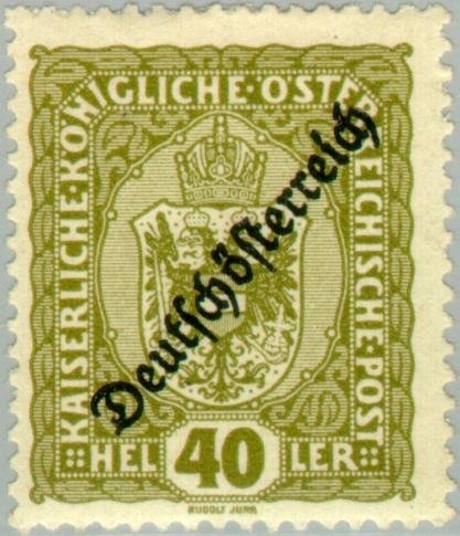 Antarctic Neosquid (Alluroteuthis antarcticus)