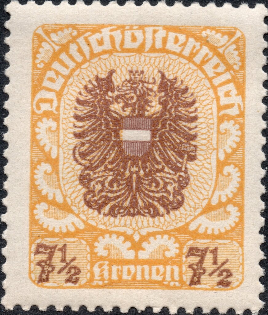 Grape vine (Vitis vinifera)