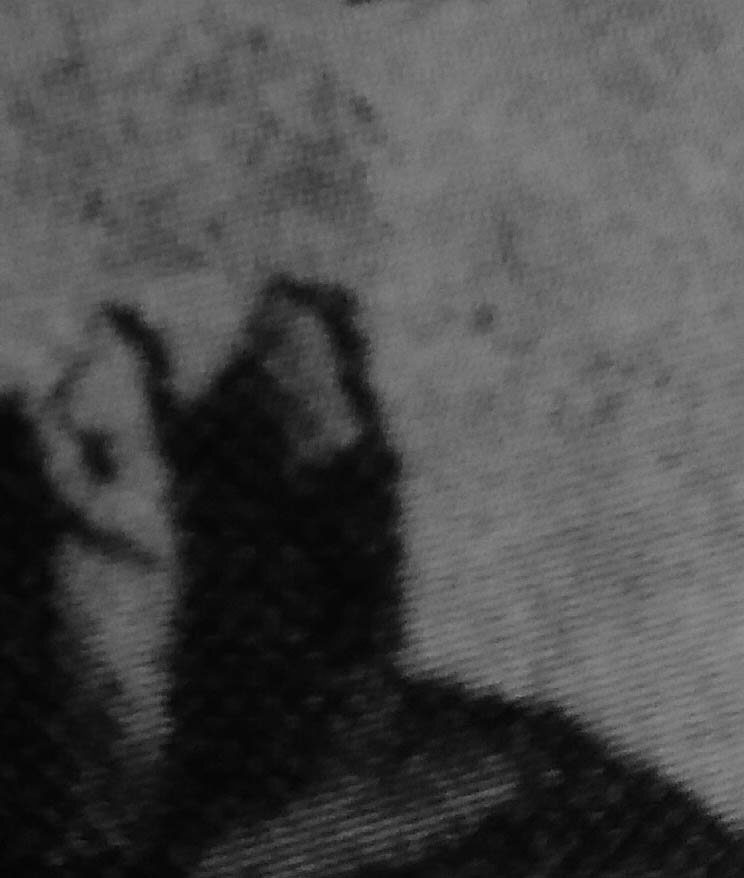 Overprint German stamp Hitler