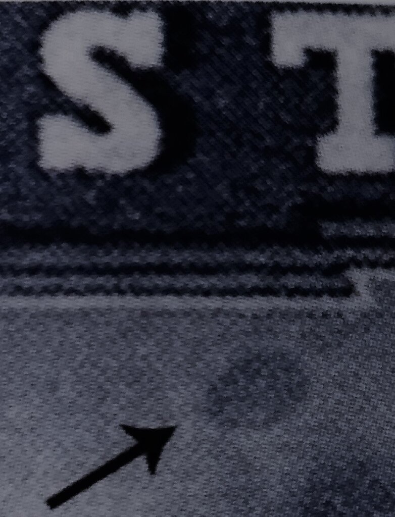 Emperor Franz Joseph in coronation vestment