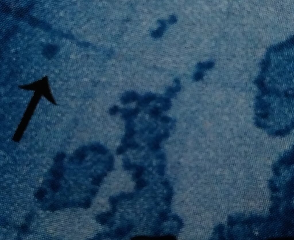 Operette "Ein Walzertraum" by Oscar Straus