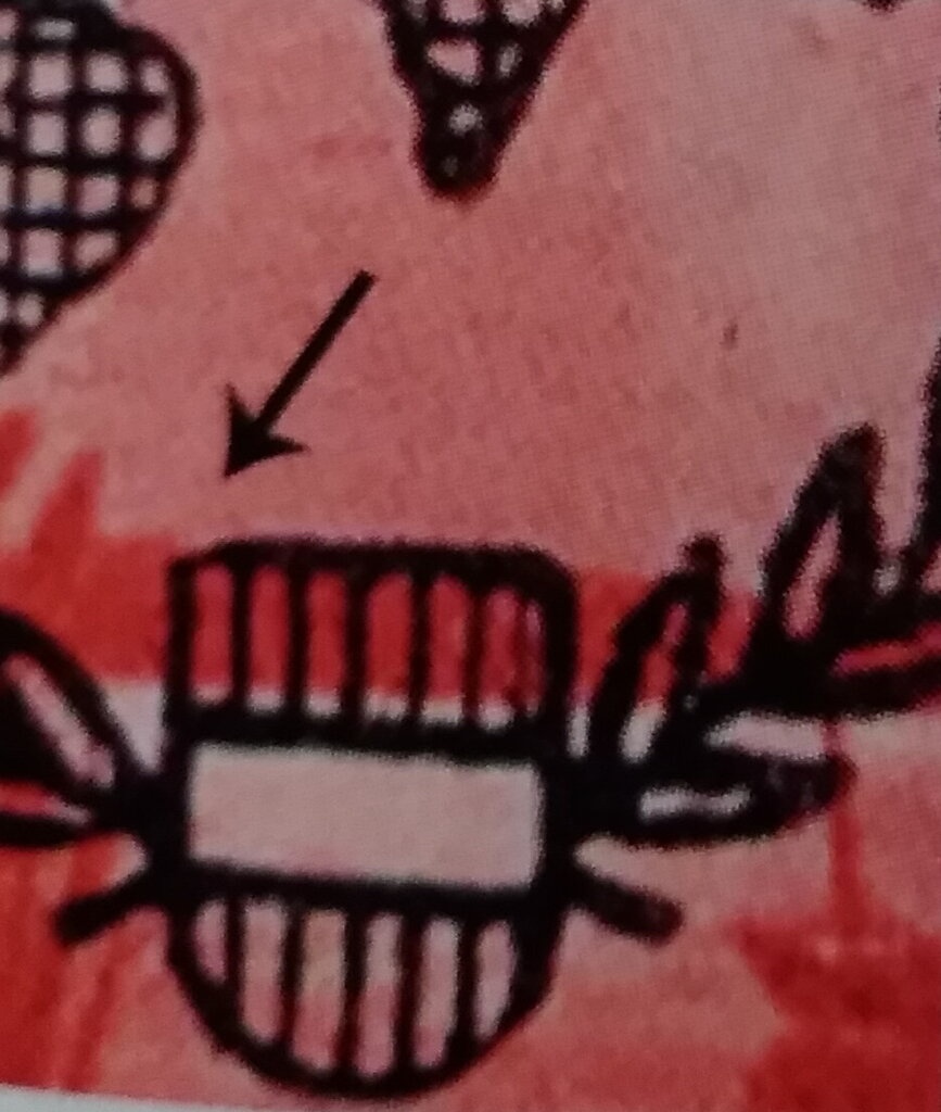 "My Garden" (Hans Staudacher)