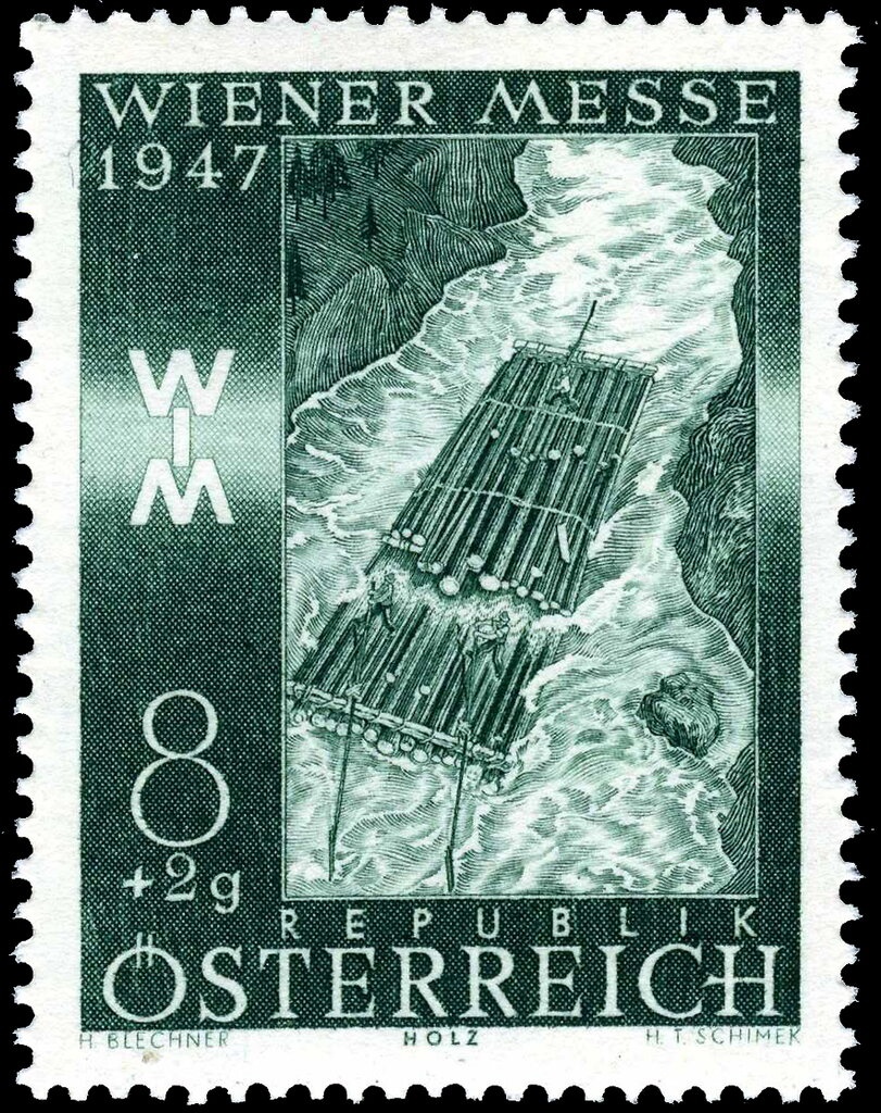 Trumpet Gentian (Gentiana kochiana)