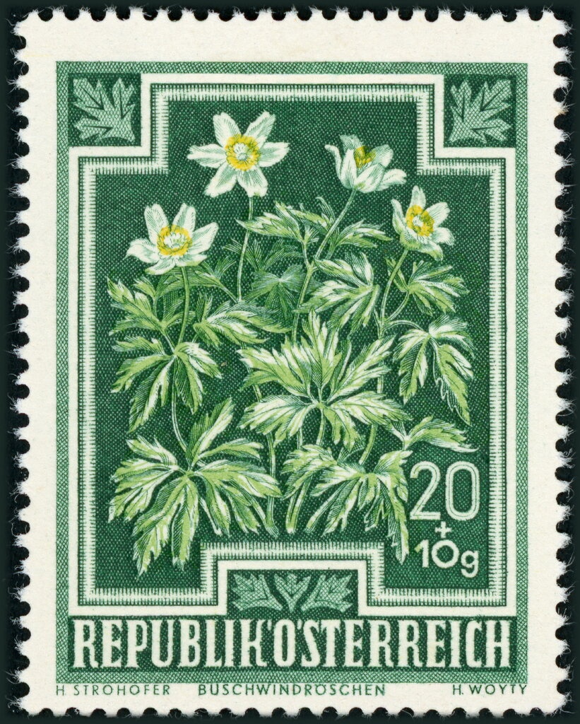 Austro Mir 91 - 1st Austrian in Space