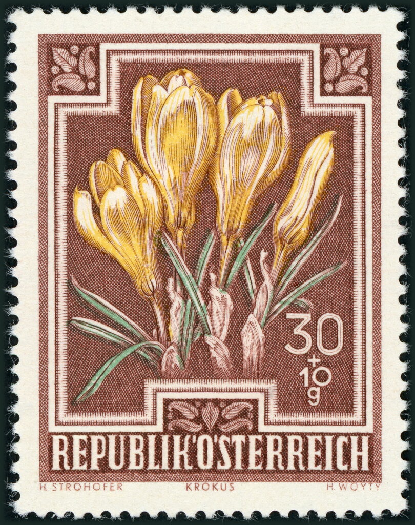 800th Anniversary of the Vienna Mint