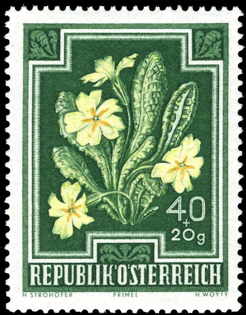 350 years Paris-Lodron-University Salzburg