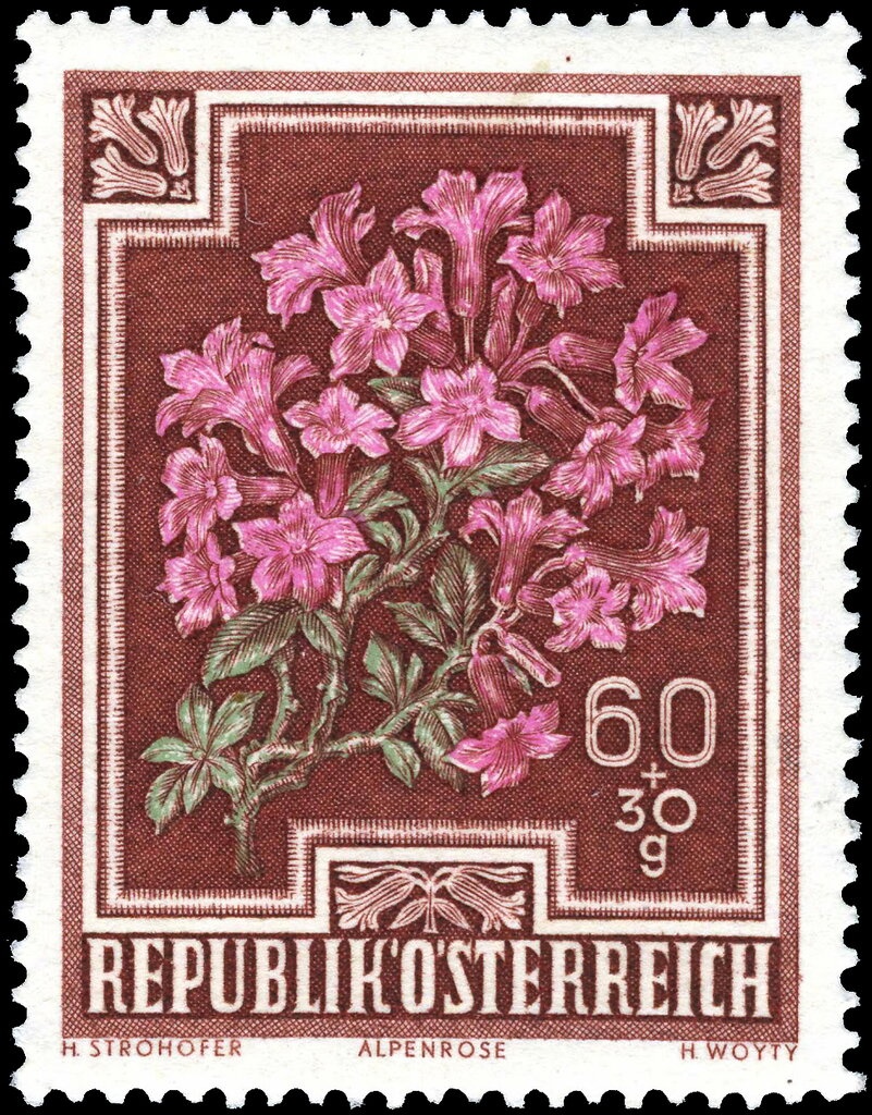 "Waldmeister" by Karl Hodina