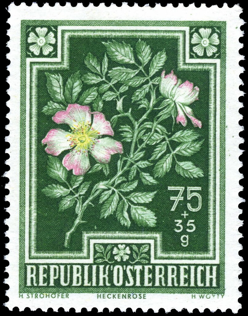 Main gate of Belvedere Palace, Vienna