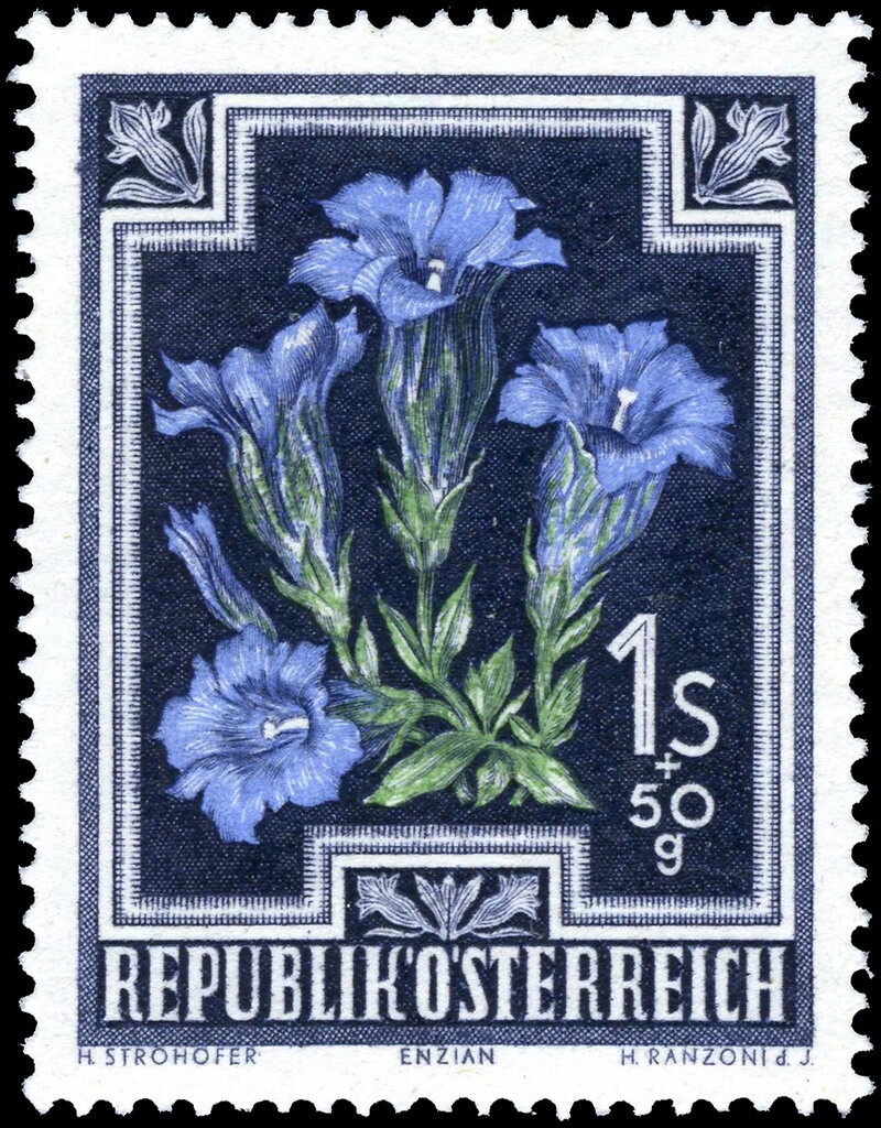 Overprint German stamp Hitler