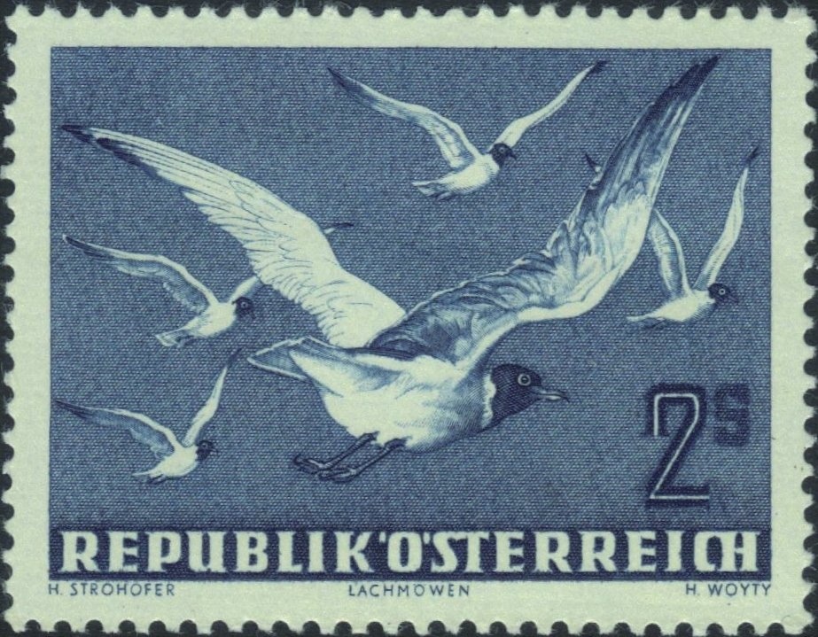 Overprint German stamp Hitler