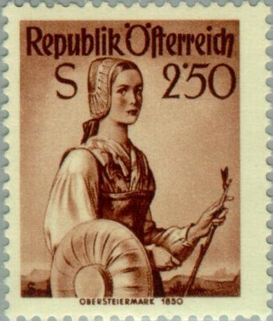 Japanese Morning Glory (Ipomoea nil)