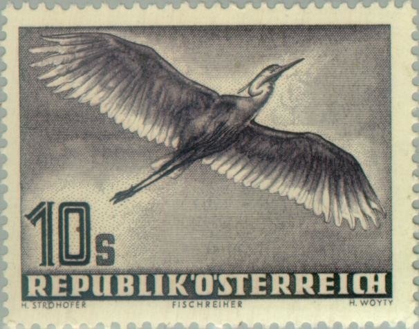 "Riders on Wet Country Lane" by J. Raffalt