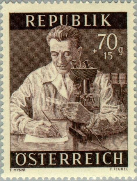 Myra Waterfalls, Muggendorf (Lower Austria)