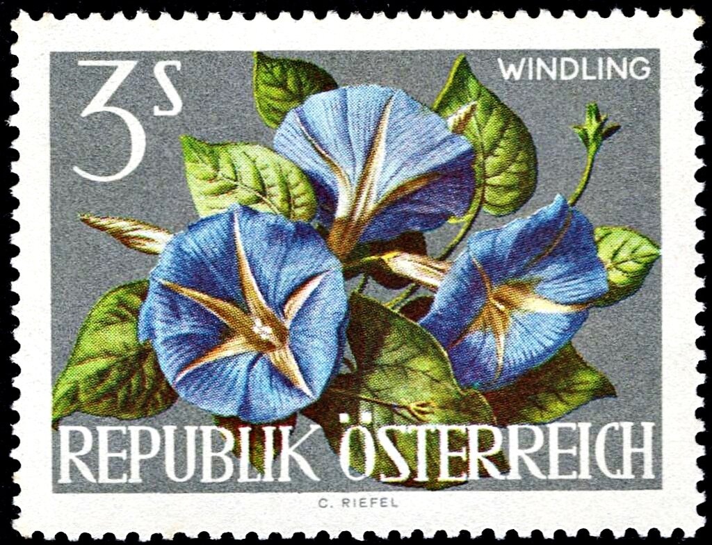 Rudolf von Alt (1812-1905) painter