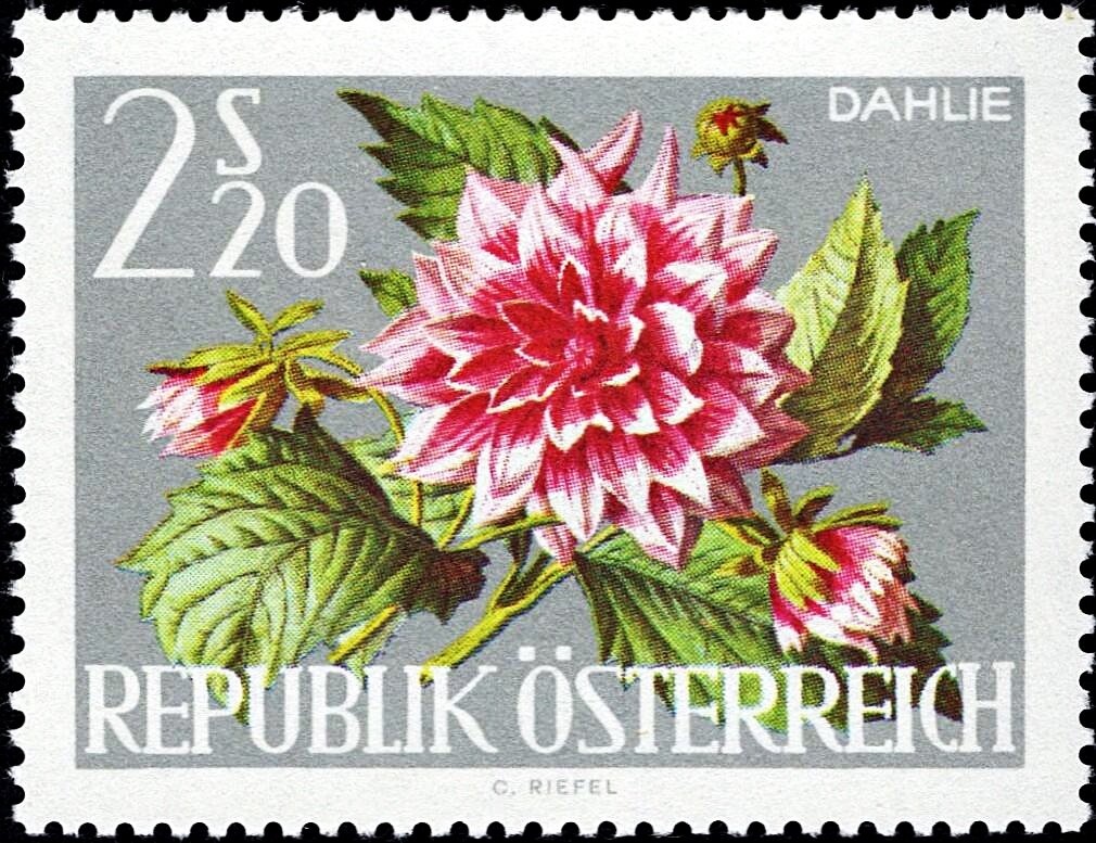 250th birthday of Franz Anton Maulbertsch