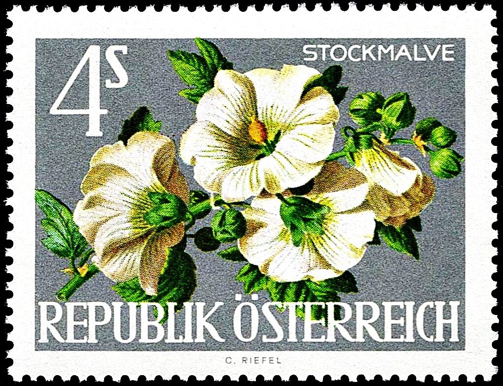 Michael Hainisch (1858-1940) federal president