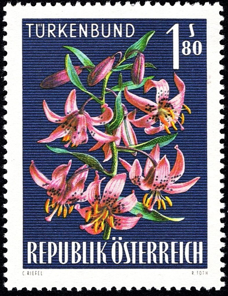 Overprint German stamp Hitler