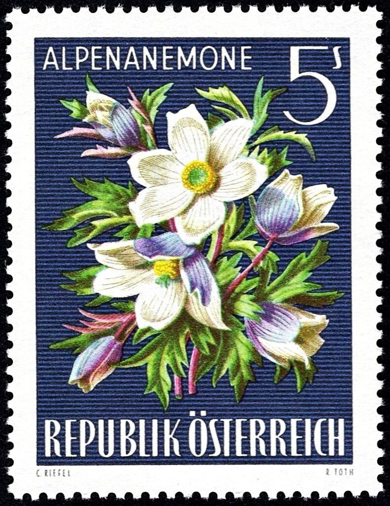 UNICHAL Congress, Vienna