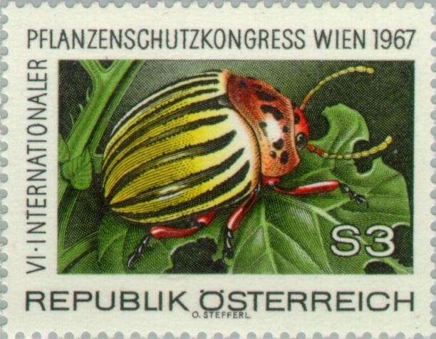 Silvretta mountain range (Vorarlberg)