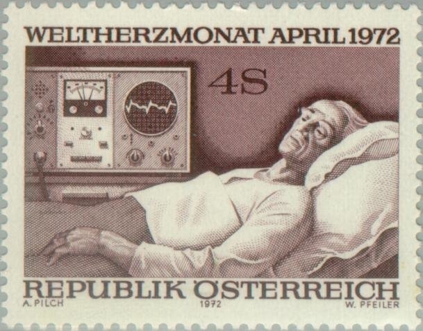 Zebra, Lioness, Orangutan and Leopard