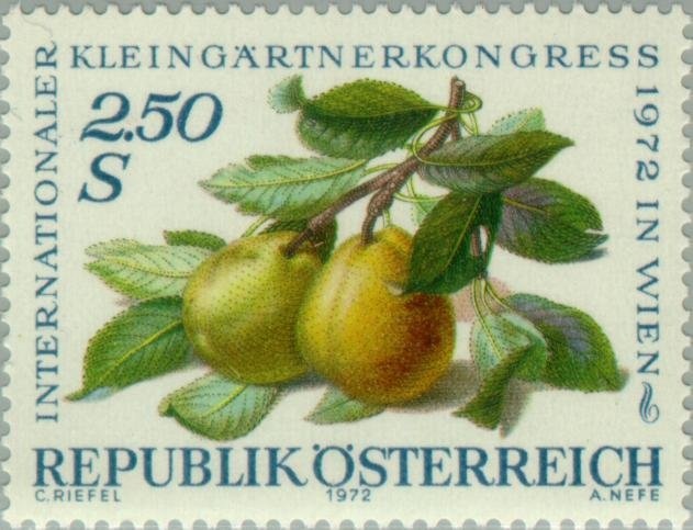 Overprint German stamp Hitler