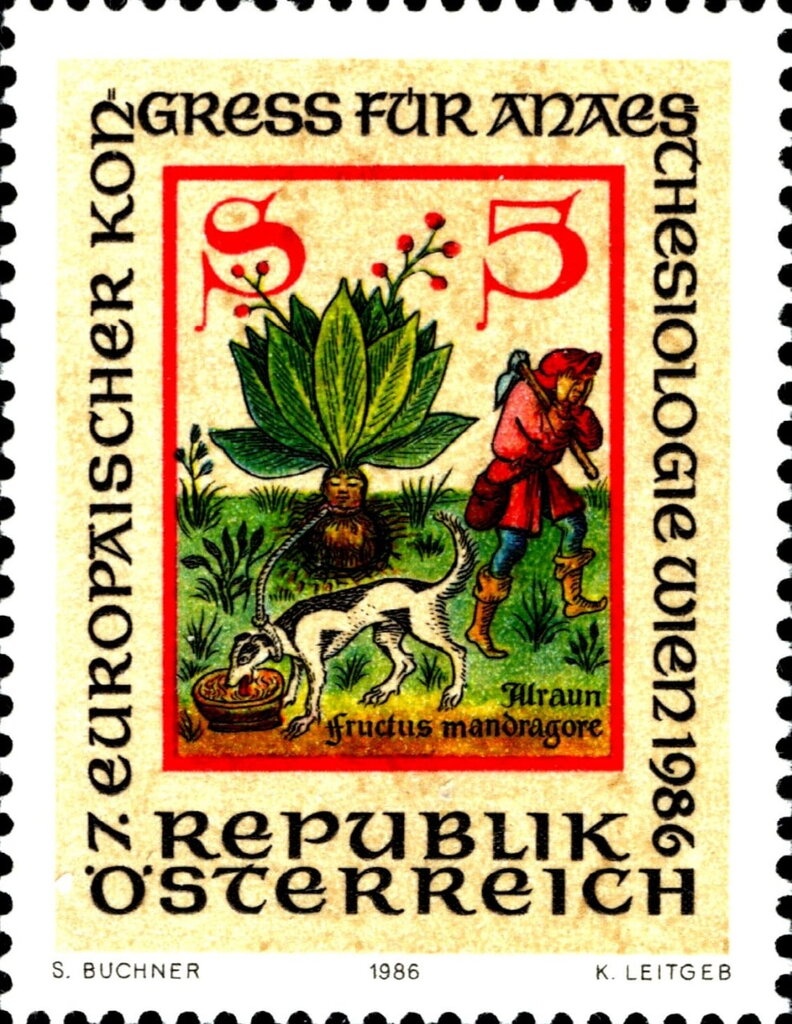 Flag-waver with Austrian flag