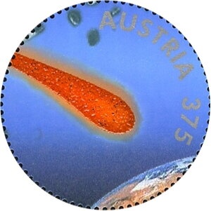 Wine district Lower Austria