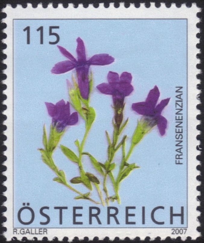 International raftsmen meeting (Carinthia)