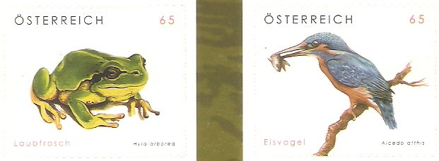 Norway spruce (Picea abies)