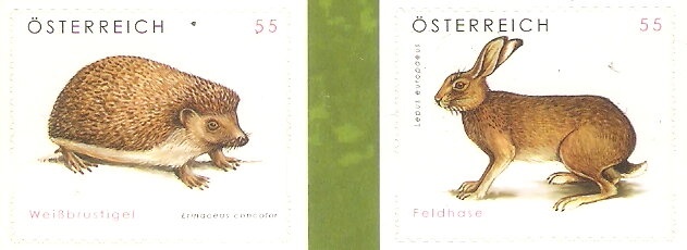 75th Anniversary of the UN