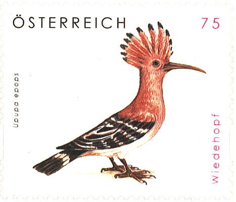 Prebersee shooting (Salzburg)