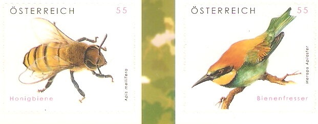 Mayerhofen im Zillertal, Tyrol