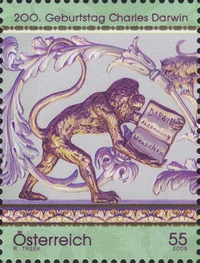 Norway spruce (Picea abies)