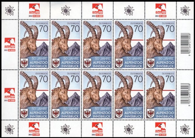 European Hare (Lepus europaeus)