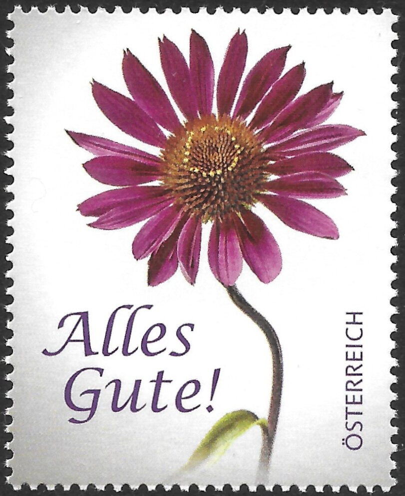 Premonstratensian Abbey, Schlägl