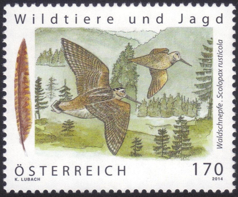 Coat of arms & digit