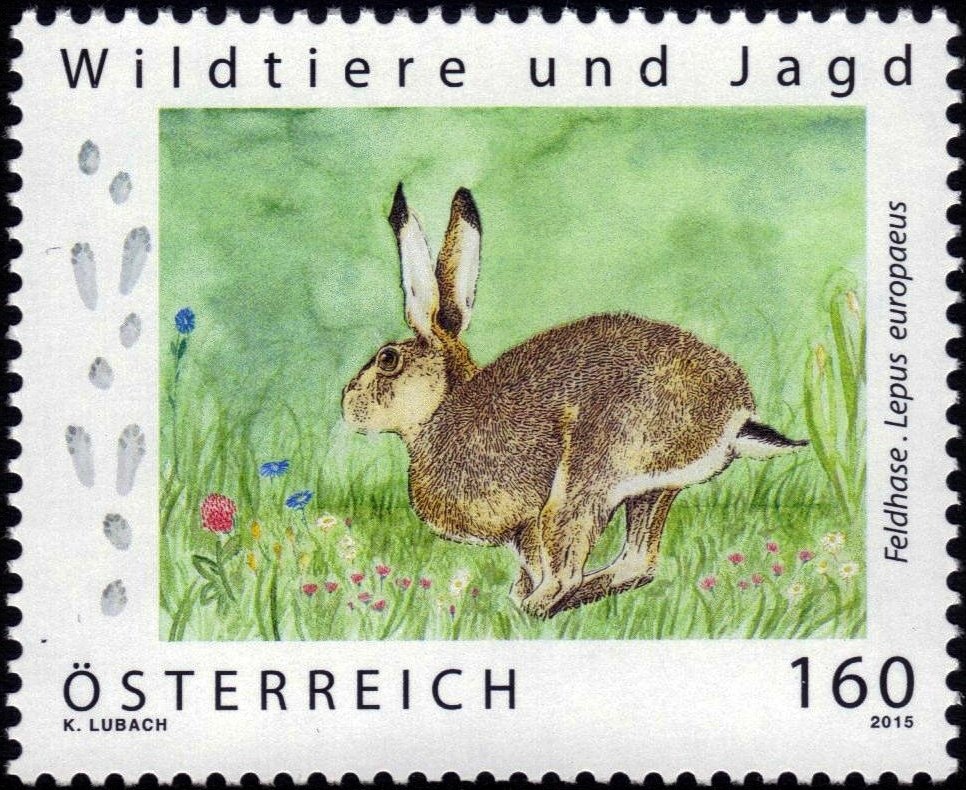 Wine district Southern Styria