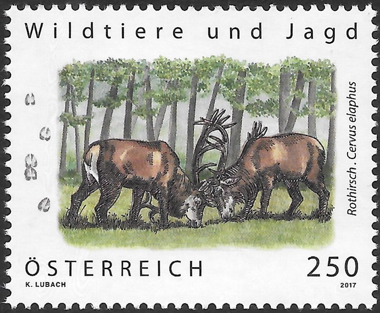 900 years of Langenlois city