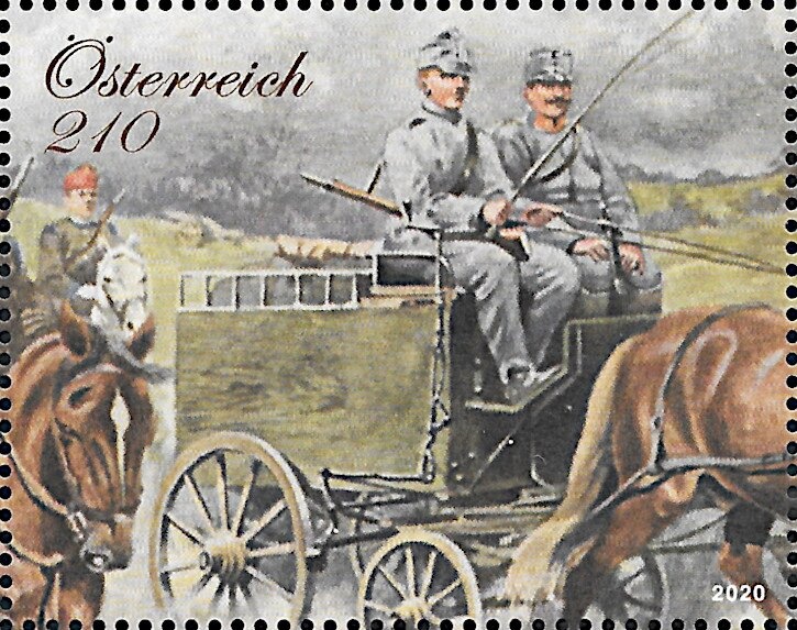 Parasol Mushroom (Macrolepiota procera)