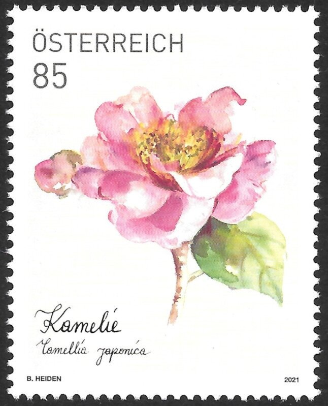 Belt Buckle (Bregenzerwald, Vorarlberg)