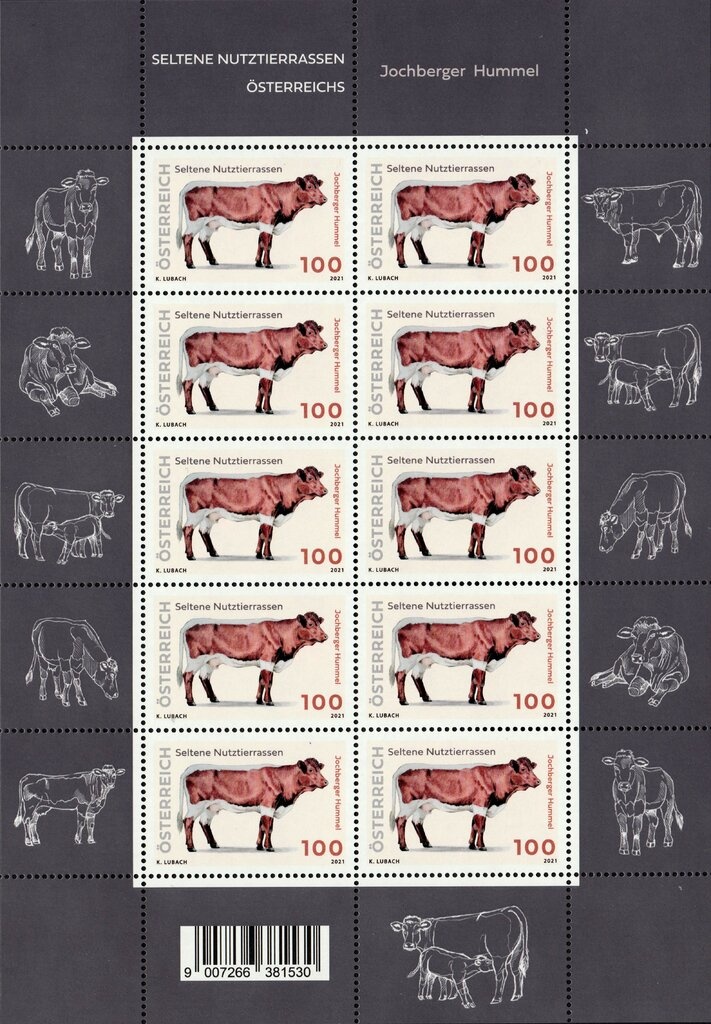 10 Years of the Recycling System ARA