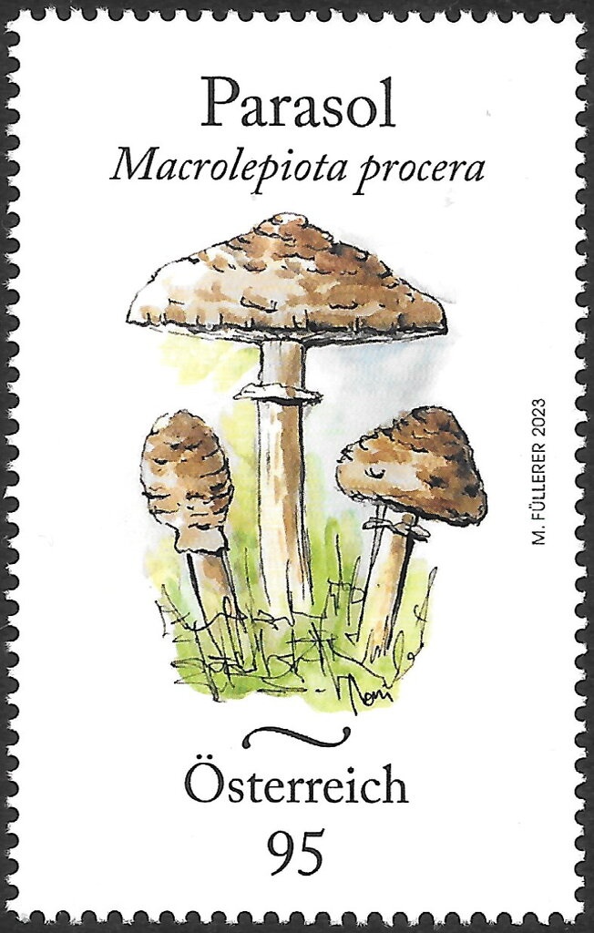 UNICEF - A fair chance for every child