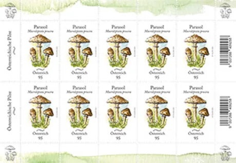 "Portrait of a Lady" by Bernardino Zaganelli (1500?)