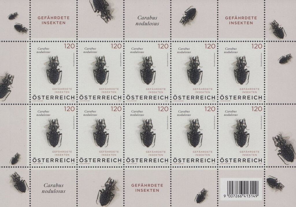 Christus Salvator (Spitz on Danube, Parish Church)