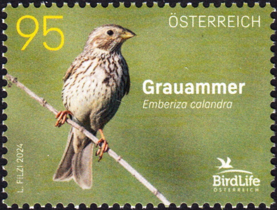 Discovery of Blood Groups, 125 Years